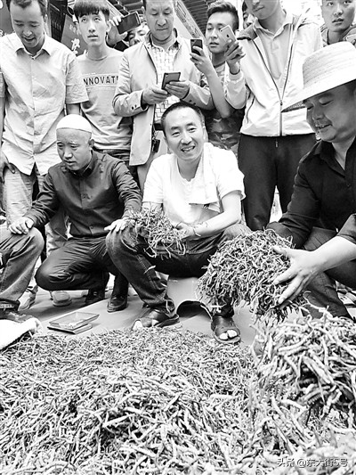 农村的硬汉子,硬汉子农民