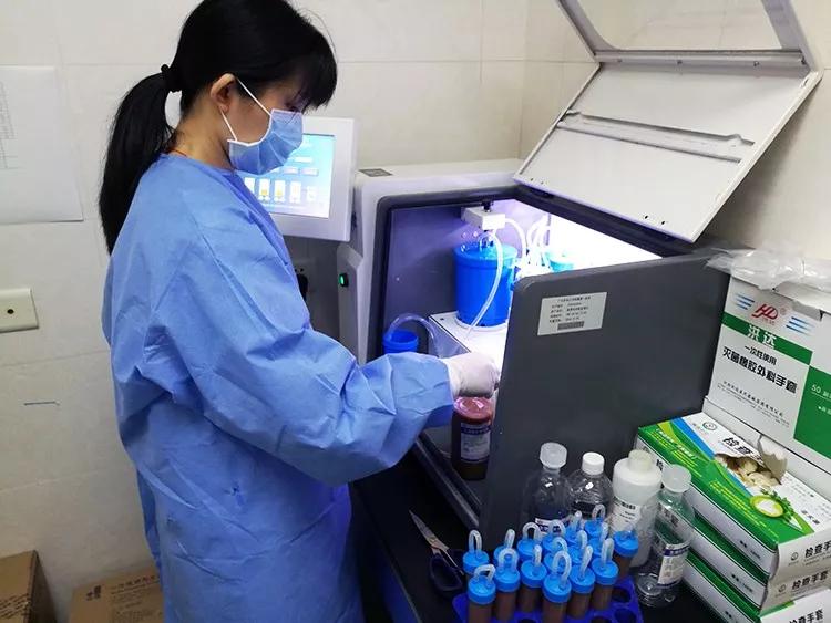 “吃屎”吗?能治病