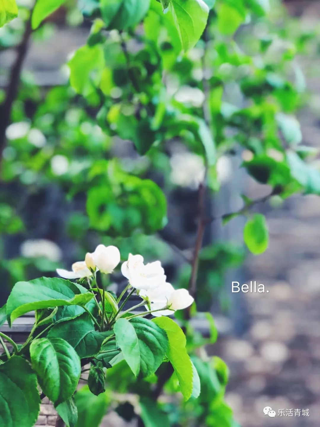 贝拉专访合集,贝拉专栏采访视频