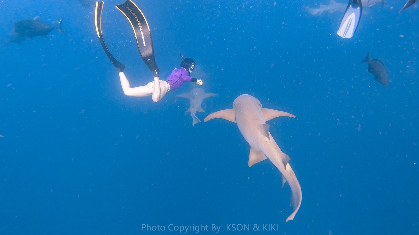 马尔代夫马富施居民岛,马尔代夫居民岛游玩攻略
