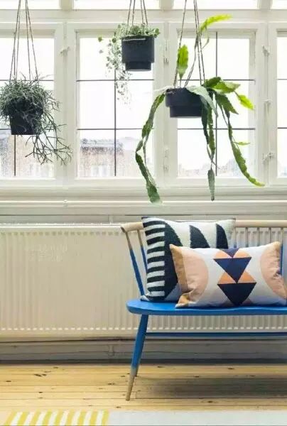 室雅何须大，花香不在多，在小屋里赏花种草，把日子过得刚刚好