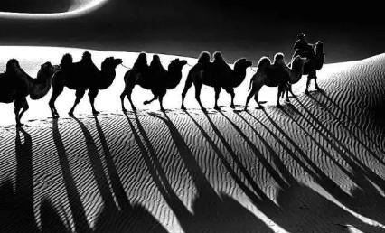 世界顶级惊艳的黑白摄影作品,黑白摄影风格有哪些