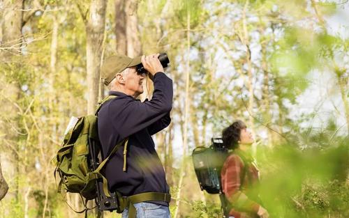 中国足球落后症结,制约中国足球发展的障碍