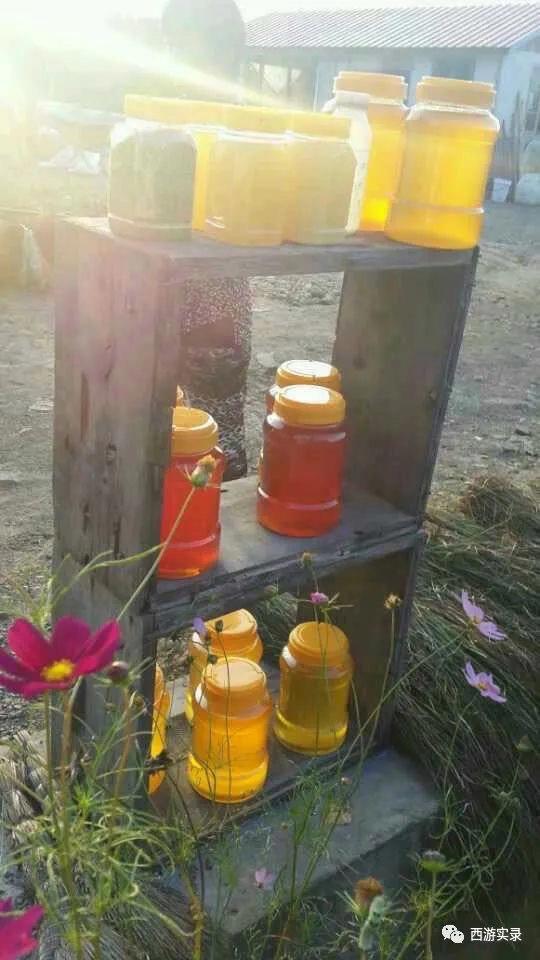 自驾环游世界第一人，一次连续跨越五大洲20万公里吉尼斯世界纪录