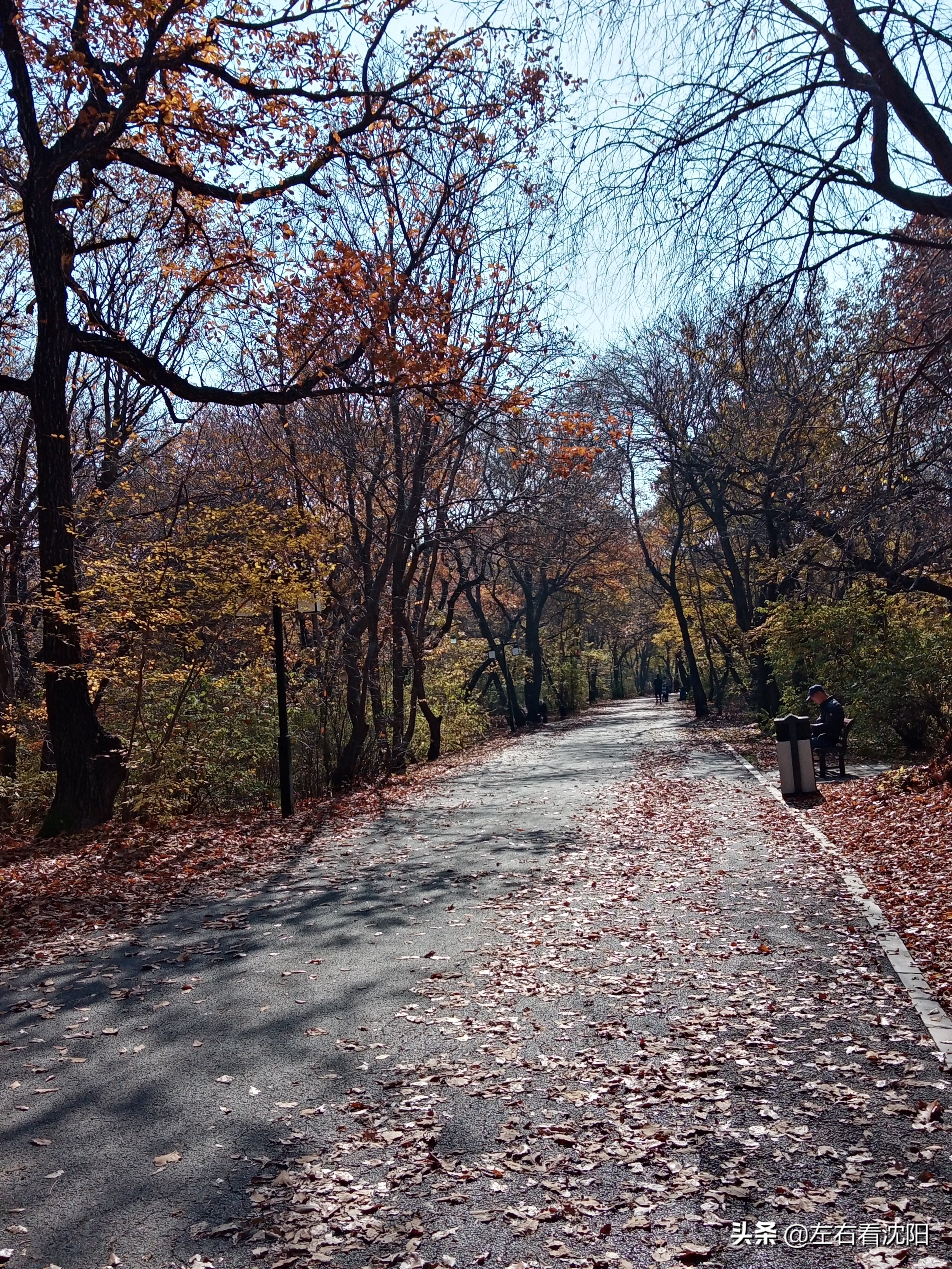 秋季沈阳北陵公园有啥好玩的,漫步沈阳北陵公园湖水边