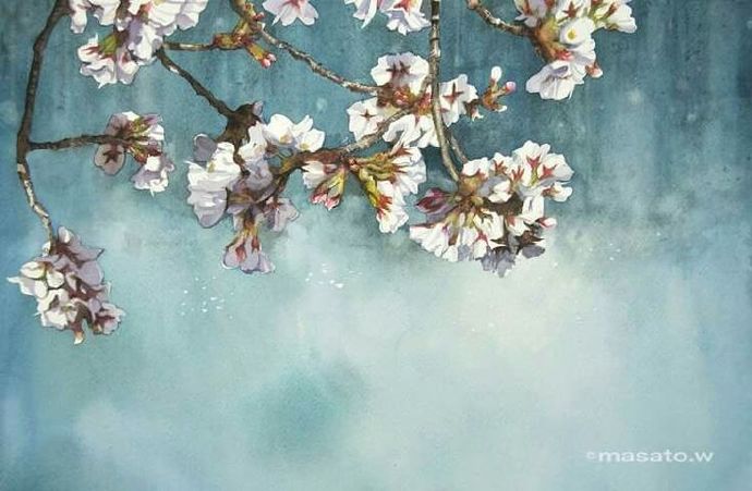 水彩樱花之境,日本水彩樱花