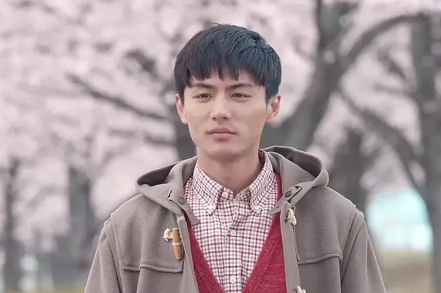 江苏十大男明星,中国公认十大帅哥明星排名