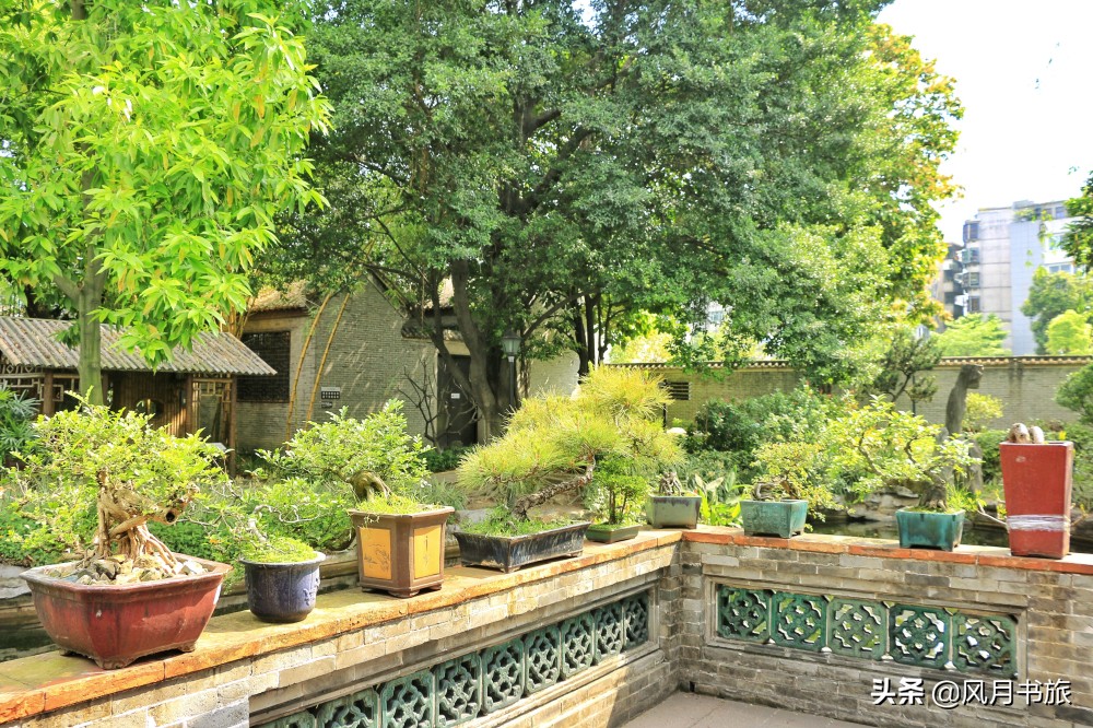 广东佛山百岁名园40年建成，关山月题名，罗哲文称它岭南第一园