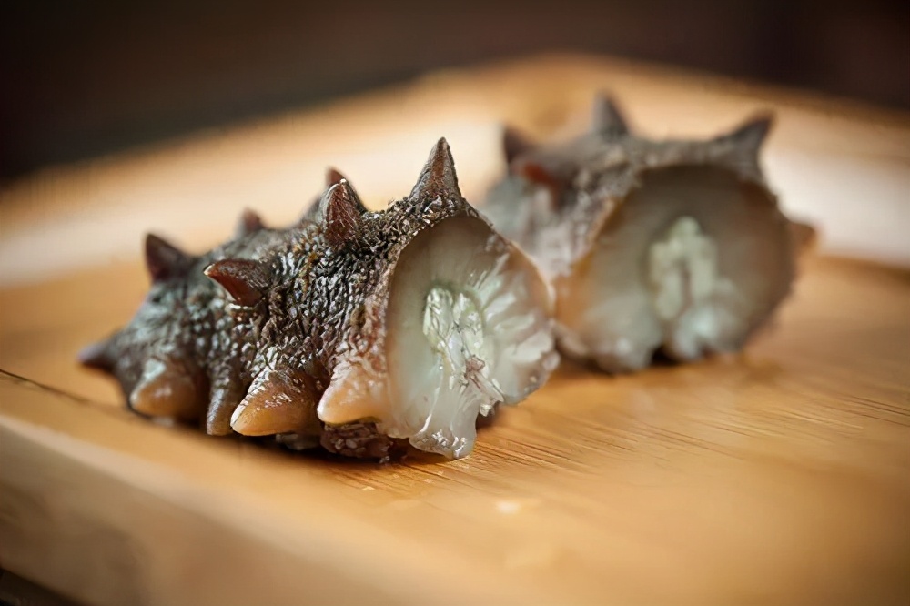 关于海参的秘密,海参的十大秘密