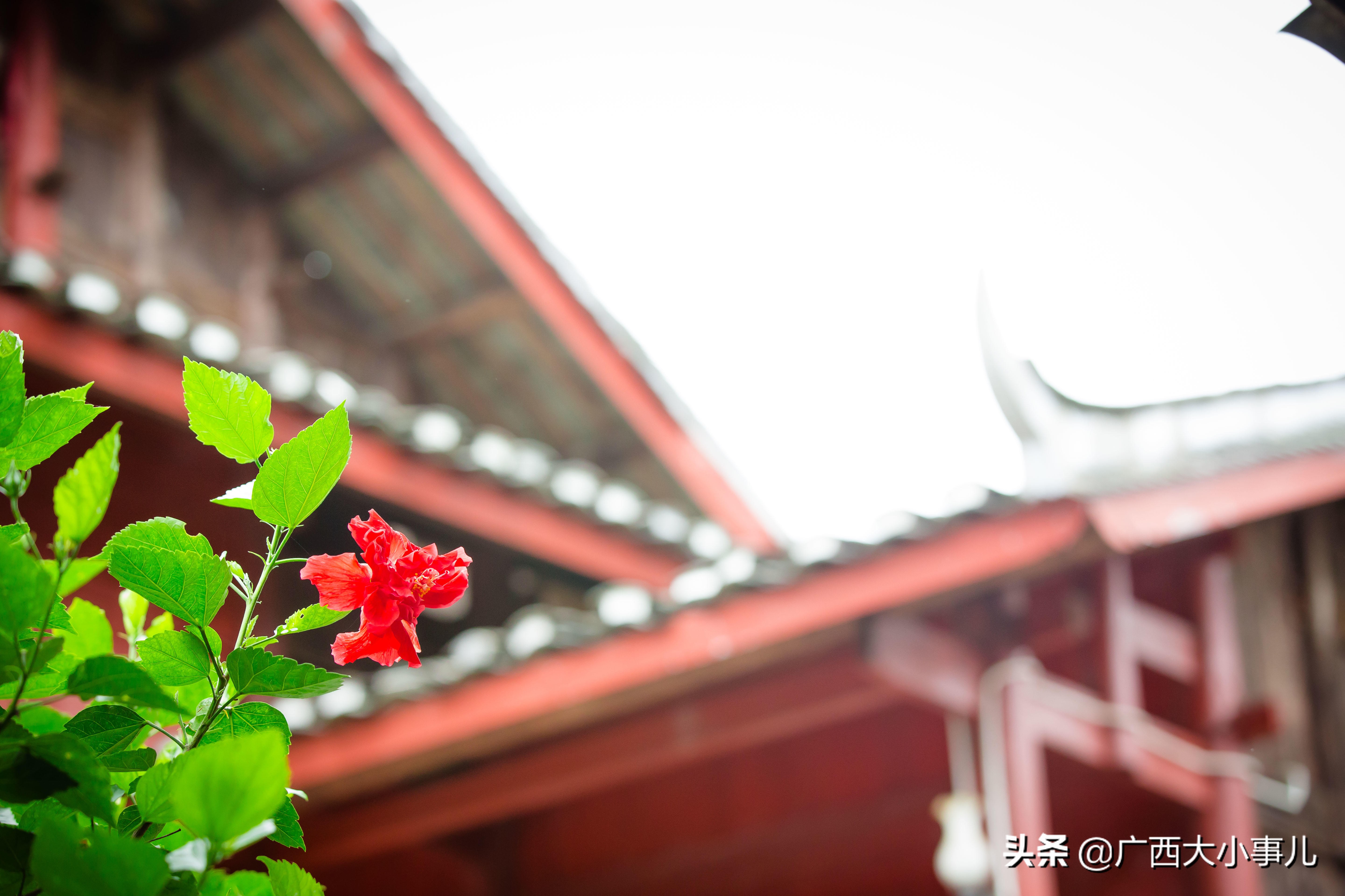 遇见别样的风景,上林风景一日游