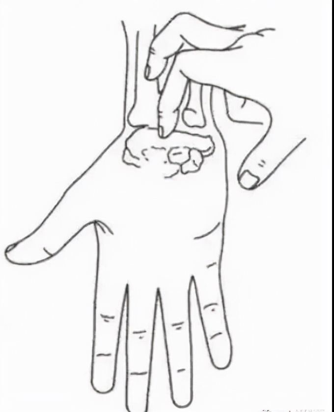 生命汇医疗国际中心,生命汇医疗服务