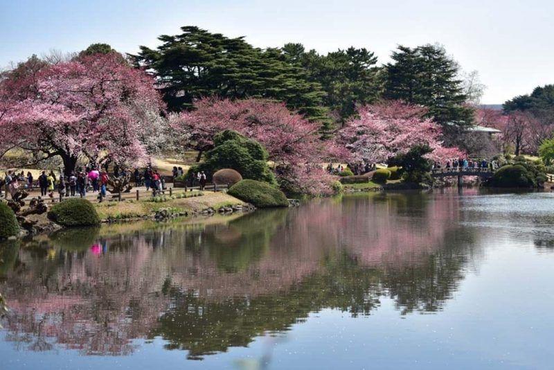 【日本樱花2019】东京美食攻略邻近赏樱景点|10间餐厅推介(上)