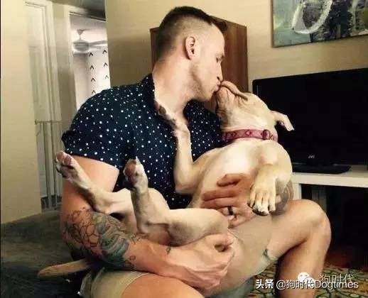 狗狗有这些表现表明它对你很忠诚,狗狗出现几种情况说明它很爱你