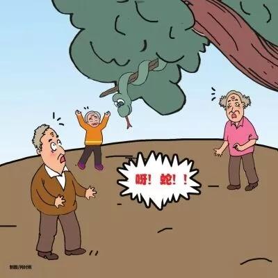 湖南惊现巨型眼镜蛇,惊现巨型眼镜蛇