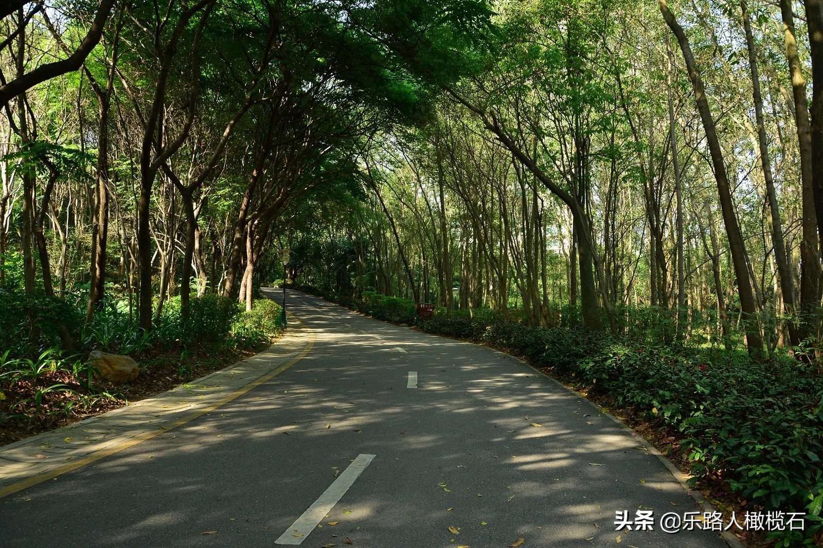 深圳园博园有什么好玩的,深圳园博园旅游指南