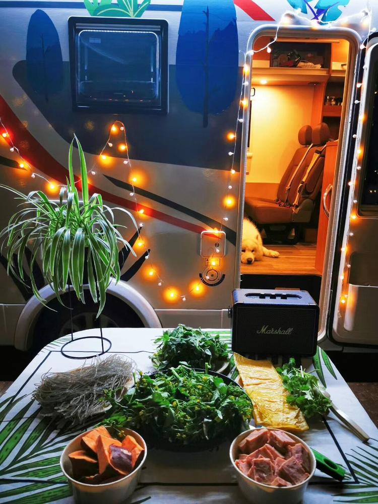 「第四期」一辆房车,三只毛孩子,三个姑娘,9476公里奇遇记