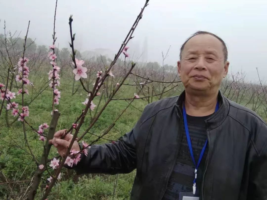 葛王佑保(中英双语)