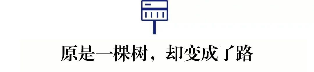 抱歉！论街道命名这件事，郴州还没输过谁