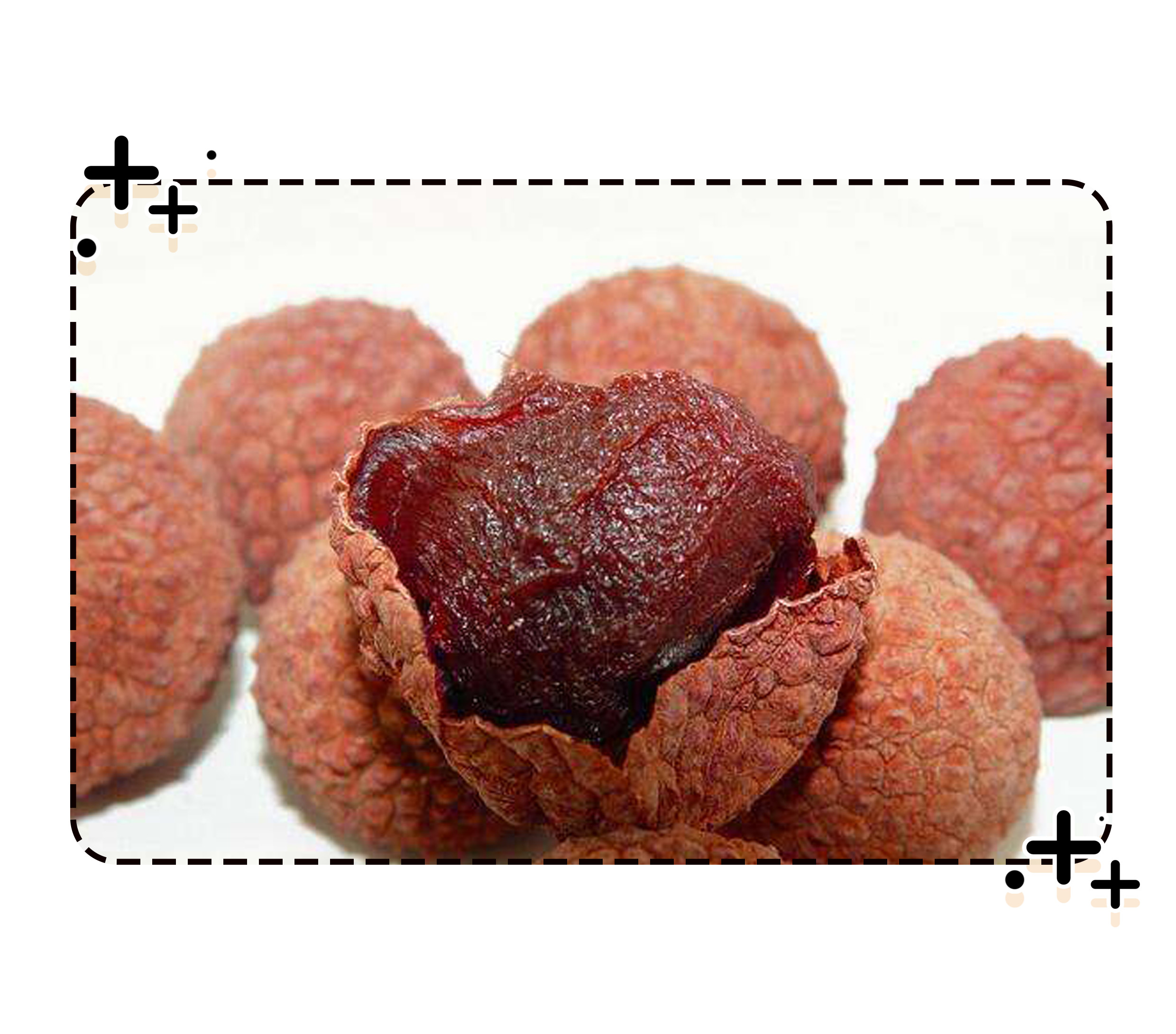 荔不从心！古人为了实现荔枝自由到底有多拼命？（菲李漫画）