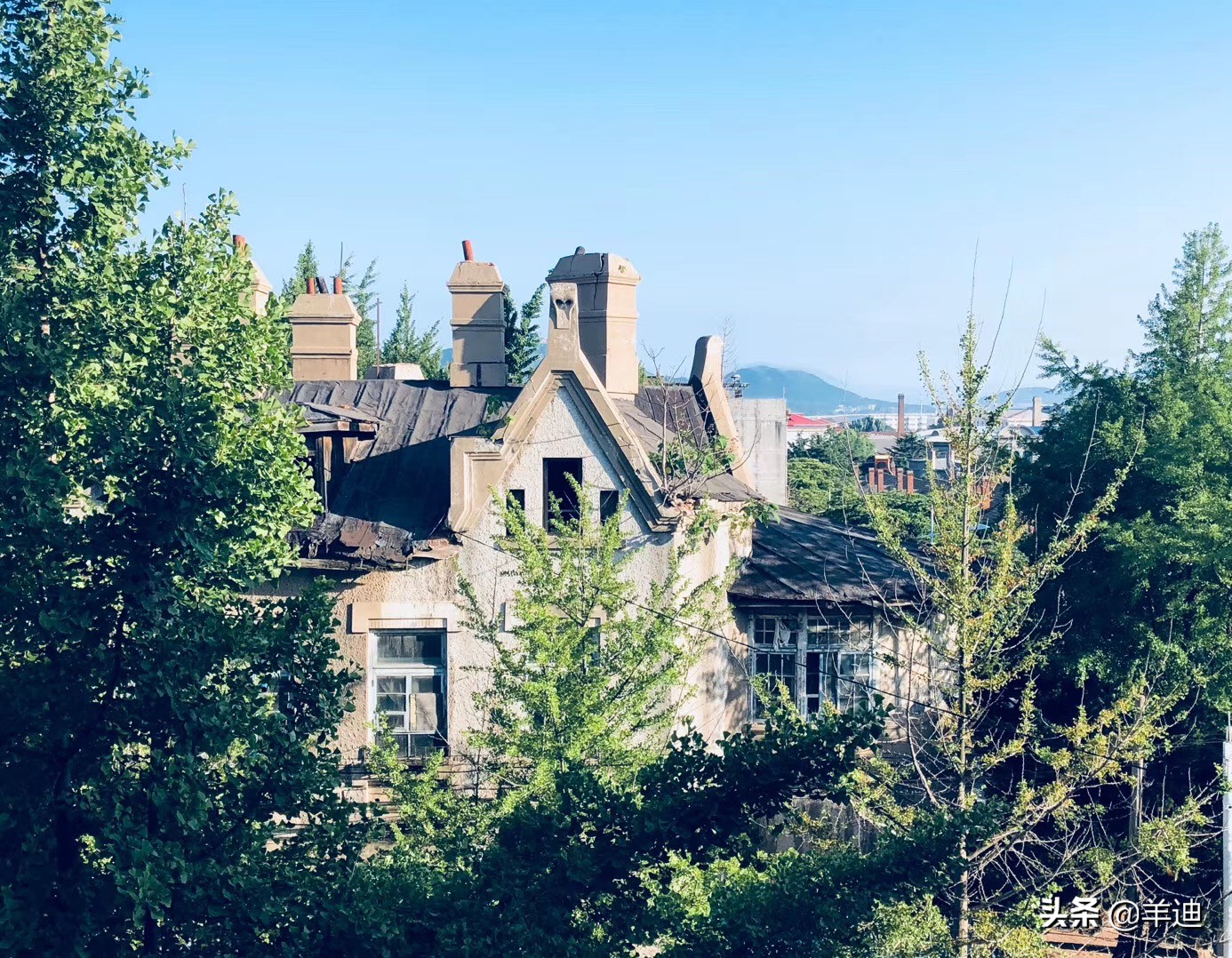 100平、海景、市中心、1000元/月，它才是最适合养老的滨海小城