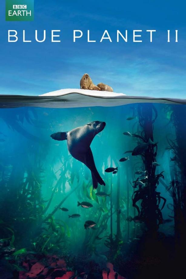 孩子必看海洋纪录片,海洋深处的未知生物纪录片推荐