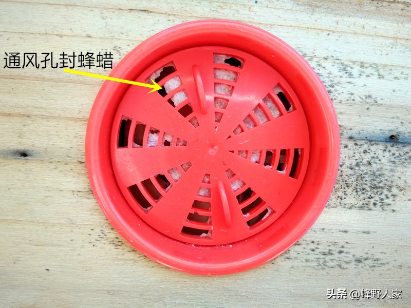 怎么才知道蜜蜂可以取蜂蜜了,蜜蜂什么时候可以取蜂蜜