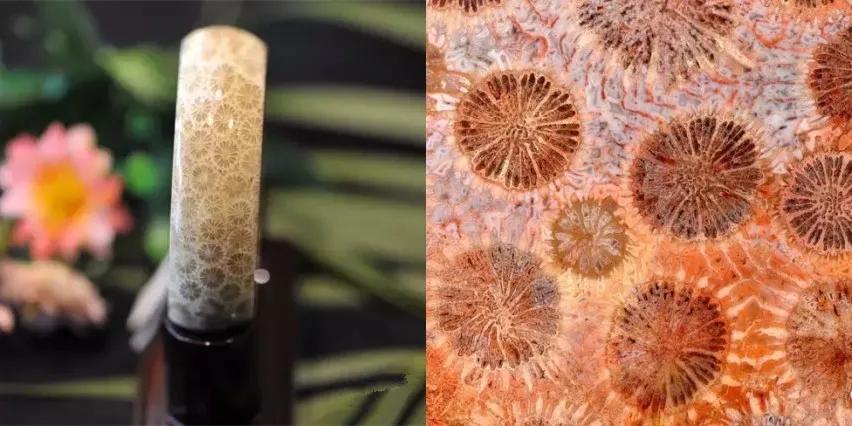 30岁女生适合的气质手镯,20多岁3000至5000元翡翠手镯推荐