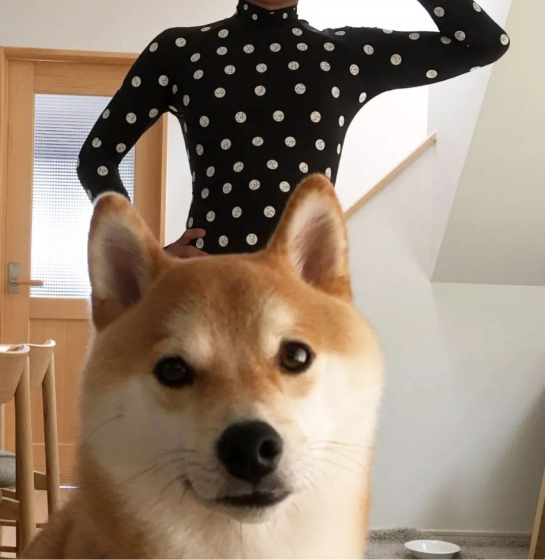 丧心病狂！一穿就摸清你的尺寸，日本人连做秋裤都特别污