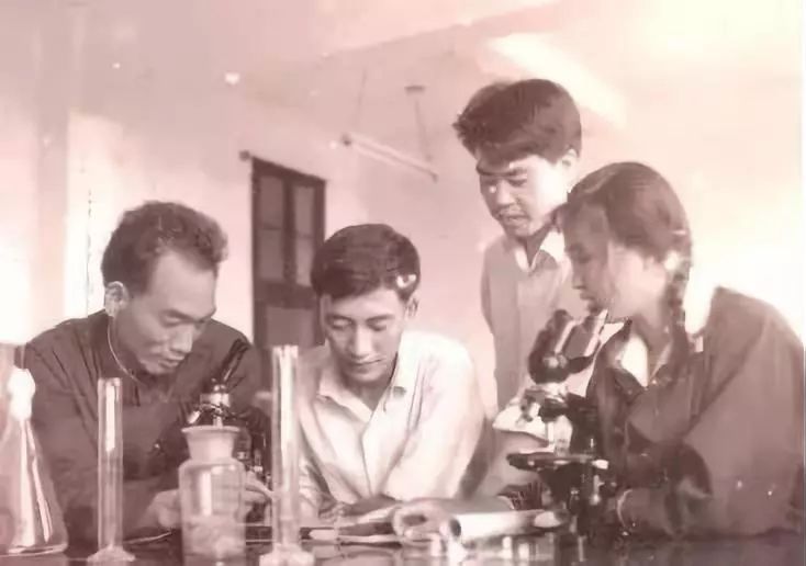 人民大会堂推销土豆,收1500个农民学生,10亿专利无偿送出,64岁的农民院士朱有勇火了!