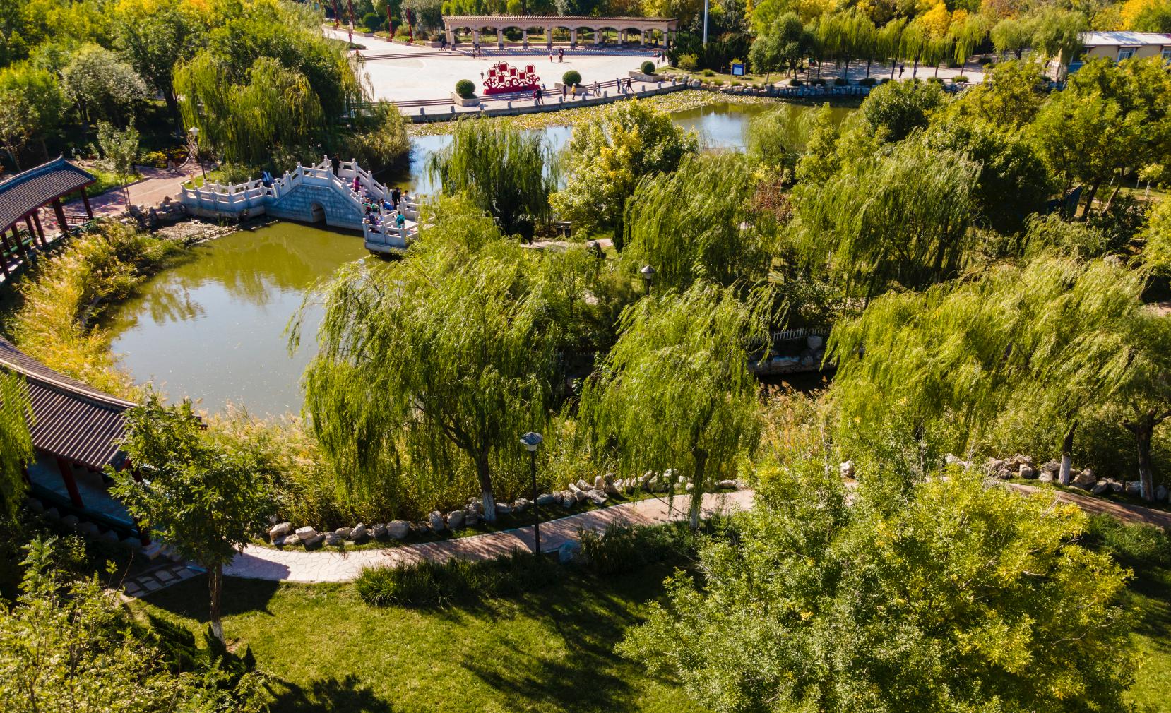 天津森林公园儿童乐园项目介绍,滨海新区适合带孩子玩的公园