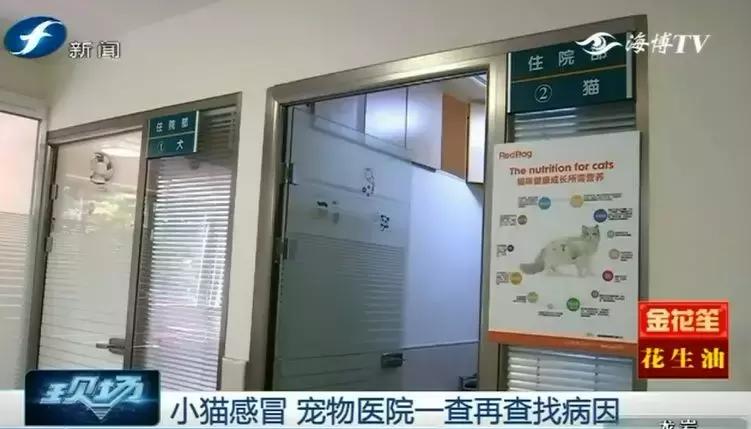 鍝瀹犵墿鍖婚櫌姝h涓嶄贡鏀惰垂,鏇濆厜瀹犵墿琛屼笟榛戝箷