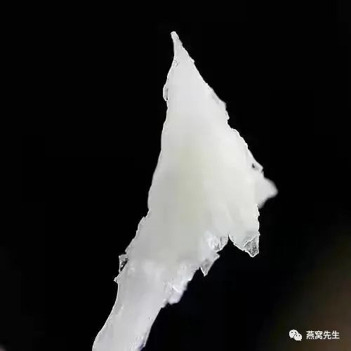 燕条燕角和燕盏有什么区别,燕盏燕条燕角燕碎适合吃哪一种