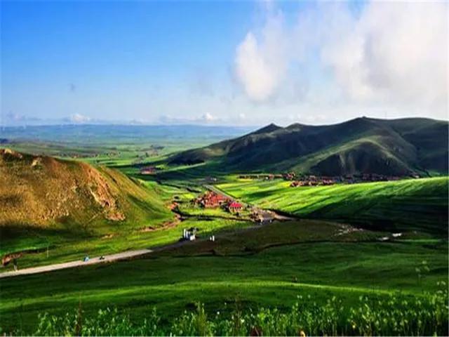 察哈尔醉牛,张北天路草原