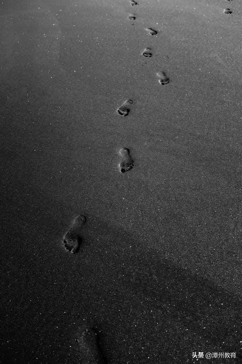 潭州教育学画画,潭州教育画画可以吗