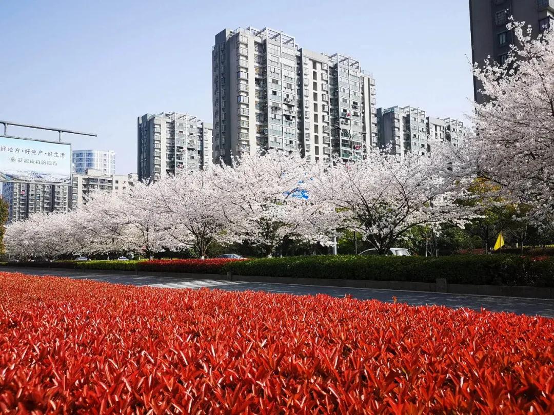 对不起这才是真实的自己,这才是真正的临平