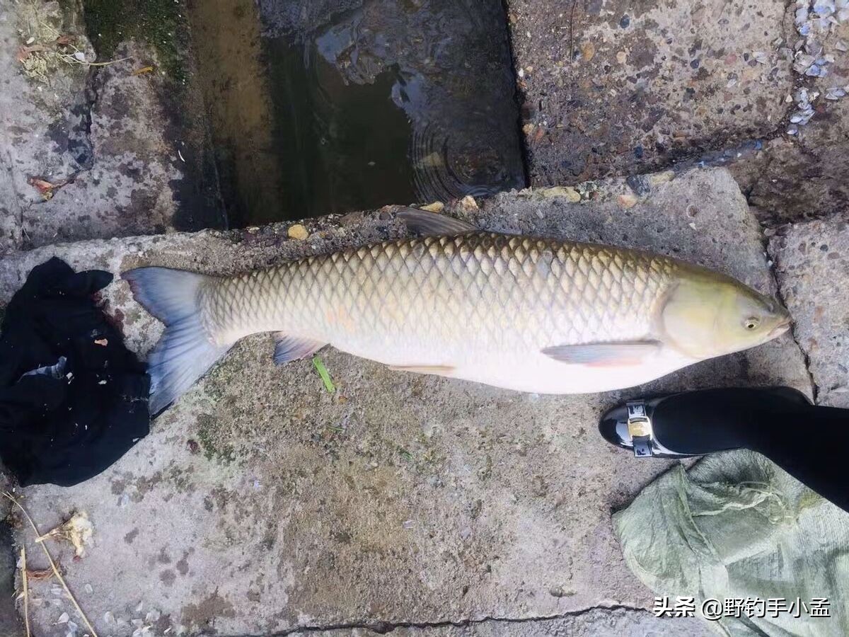 渔具套装组合推荐,钓鱼套装组合渔具全套推荐