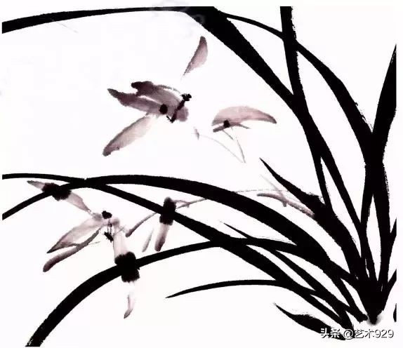 国画兰花的画法太棒了简单易学,泰国兰花绘画技法