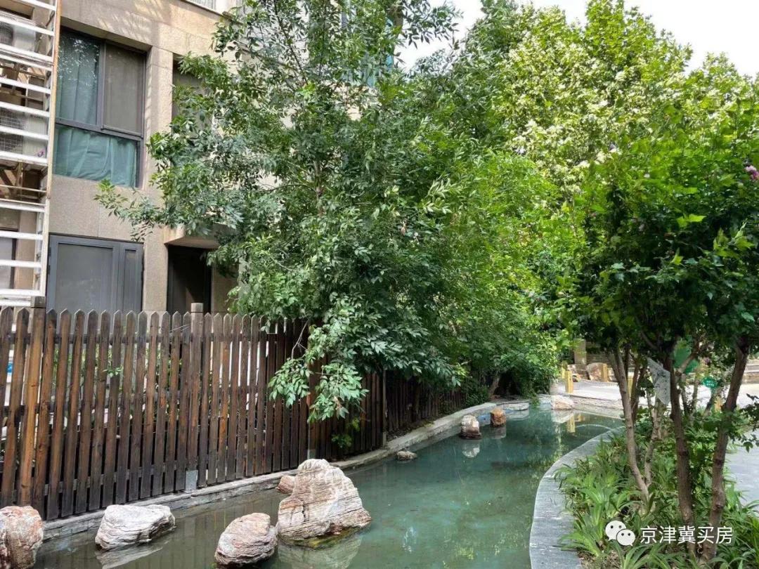 朝青2018年价格,朝青价格走势