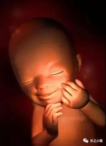 孕期胎儿成长图鉴,孕期胚胎成长图片