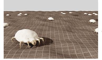 床上螨虫成窝,家里老人小孩老过敏,教你1个土法子,让螨虫消失