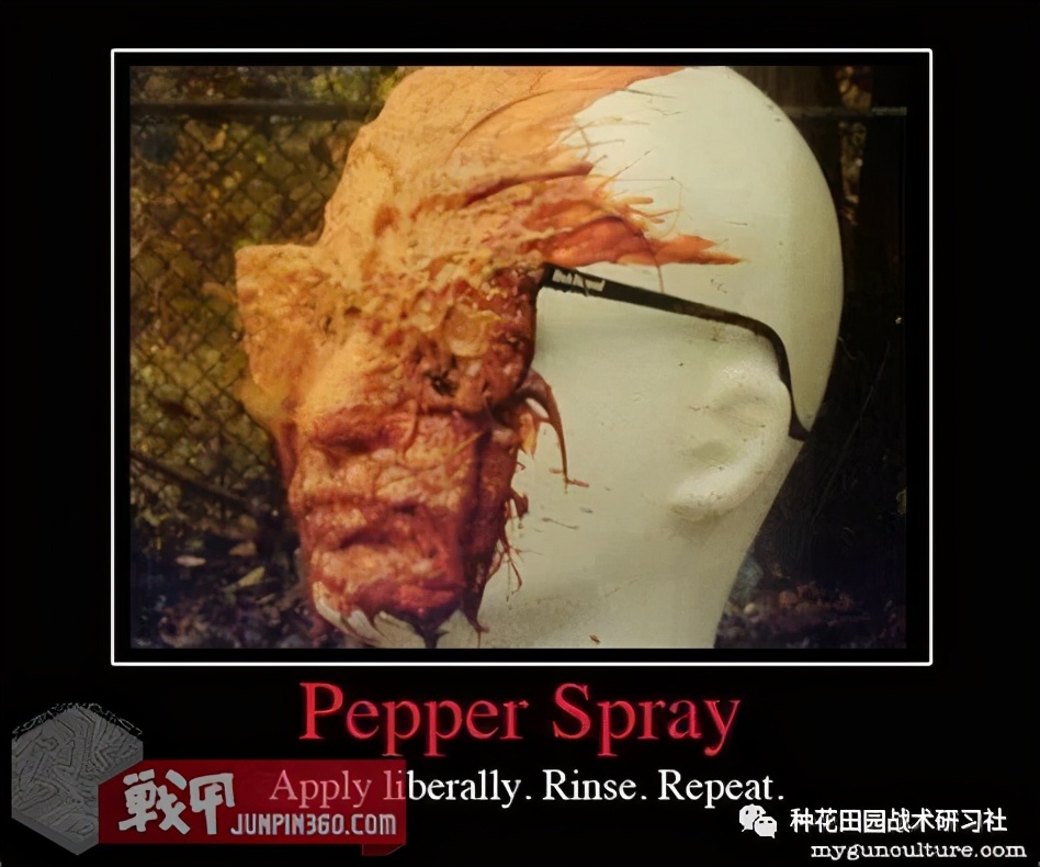 「译丛」OC、VP、PAVA？—辣椒类物质失能药剂释疑