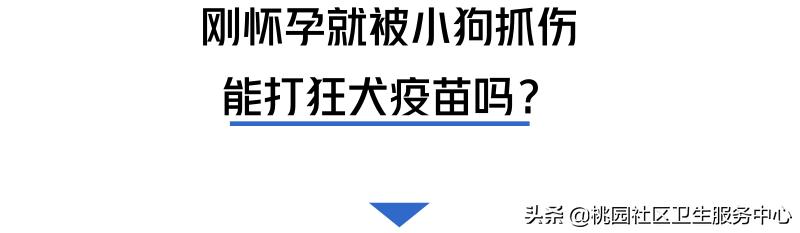如被猫狗咬伤或抓伤应如何处理,被猫狗咬伤在多少小时之内打疫苗