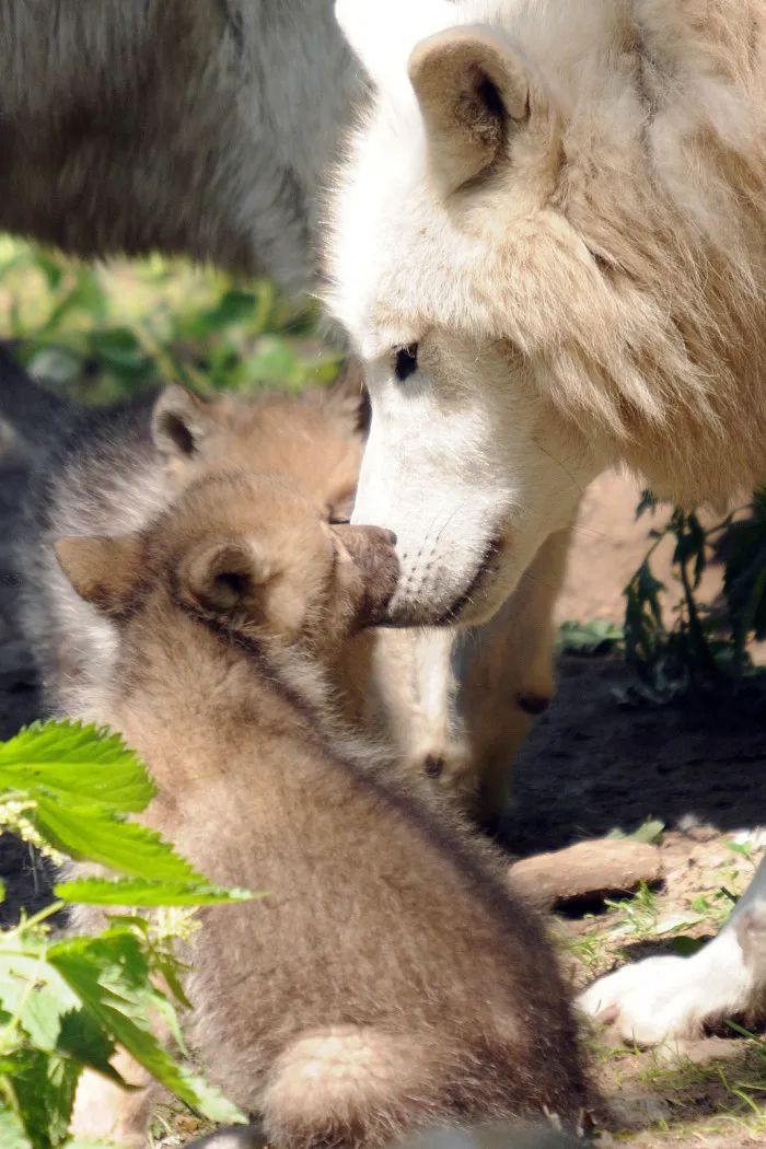 自己幸福就好不用管别人怎样,只顾自己不顾别人死活