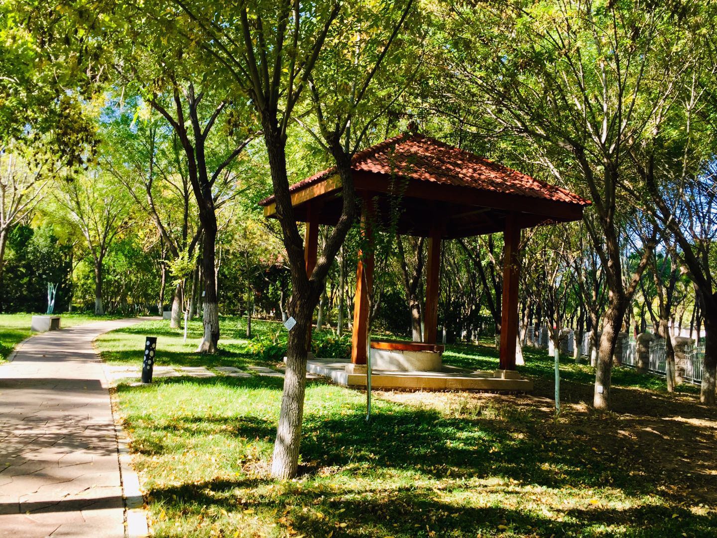 天津森林公园儿童乐园项目介绍,滨海新区适合带孩子玩的公园