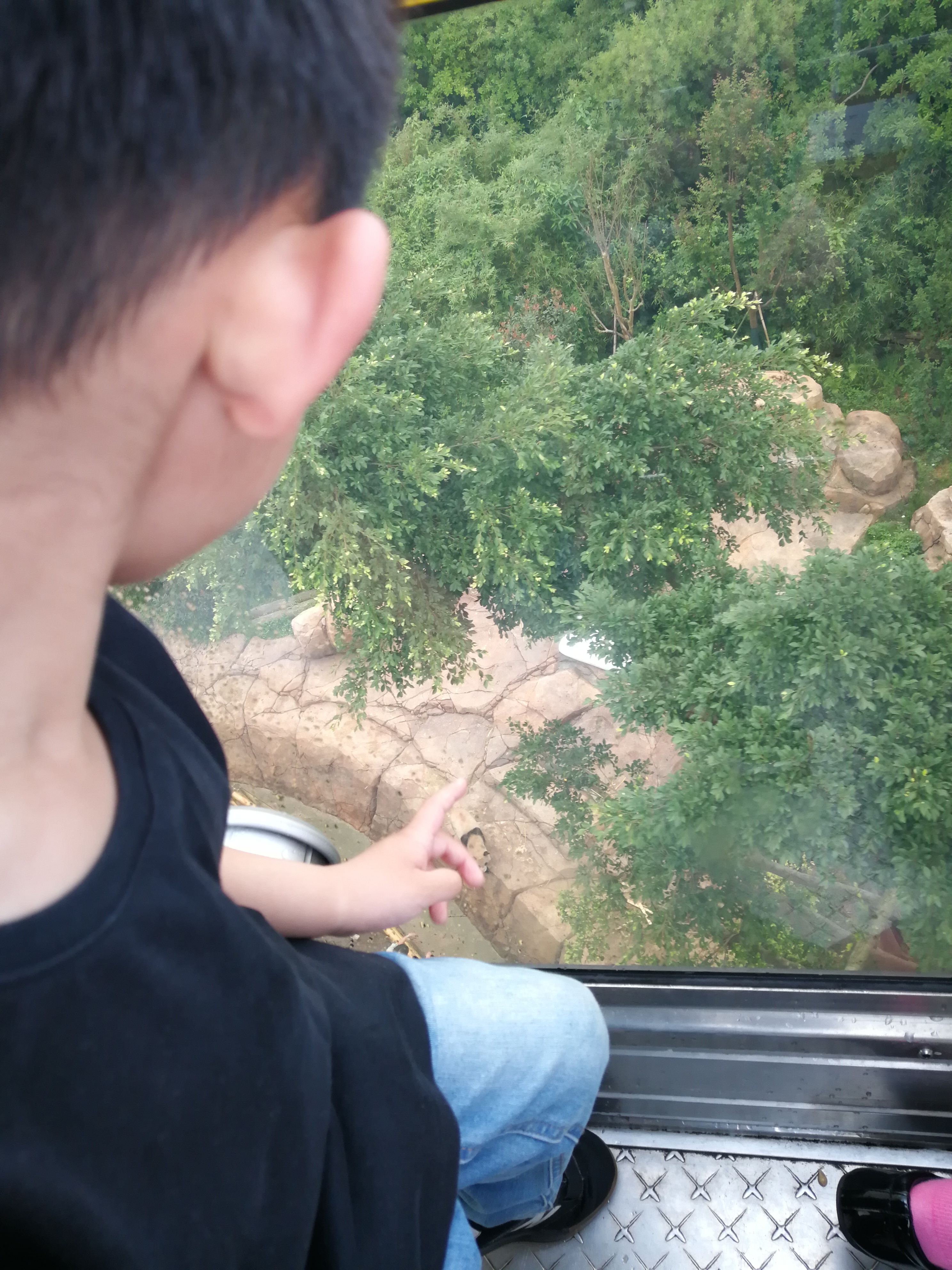 广州及珠海长隆3天2夜亲子游攻略,从广州长隆到珠海长隆亲子游攻略