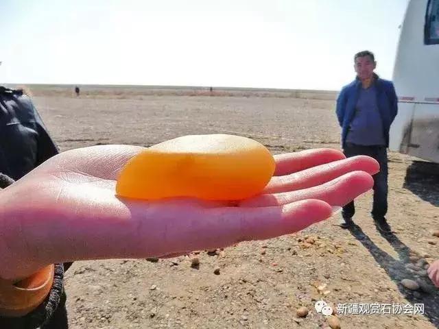 戈壁滩捡玉怎么分辨玉和石头,金丝玉三剑客戈壁滩捡金丝玉