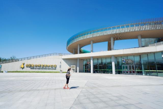 唐山研学好去处,唐山研学游