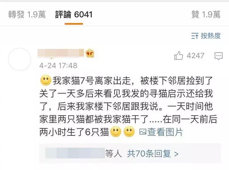 推荐养橘猫的6大原因,自从养了猫才知道它是那么粘人