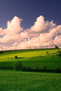 女性寒湿体质怎么调理最有效,女性寒湿气太重不能吃什么