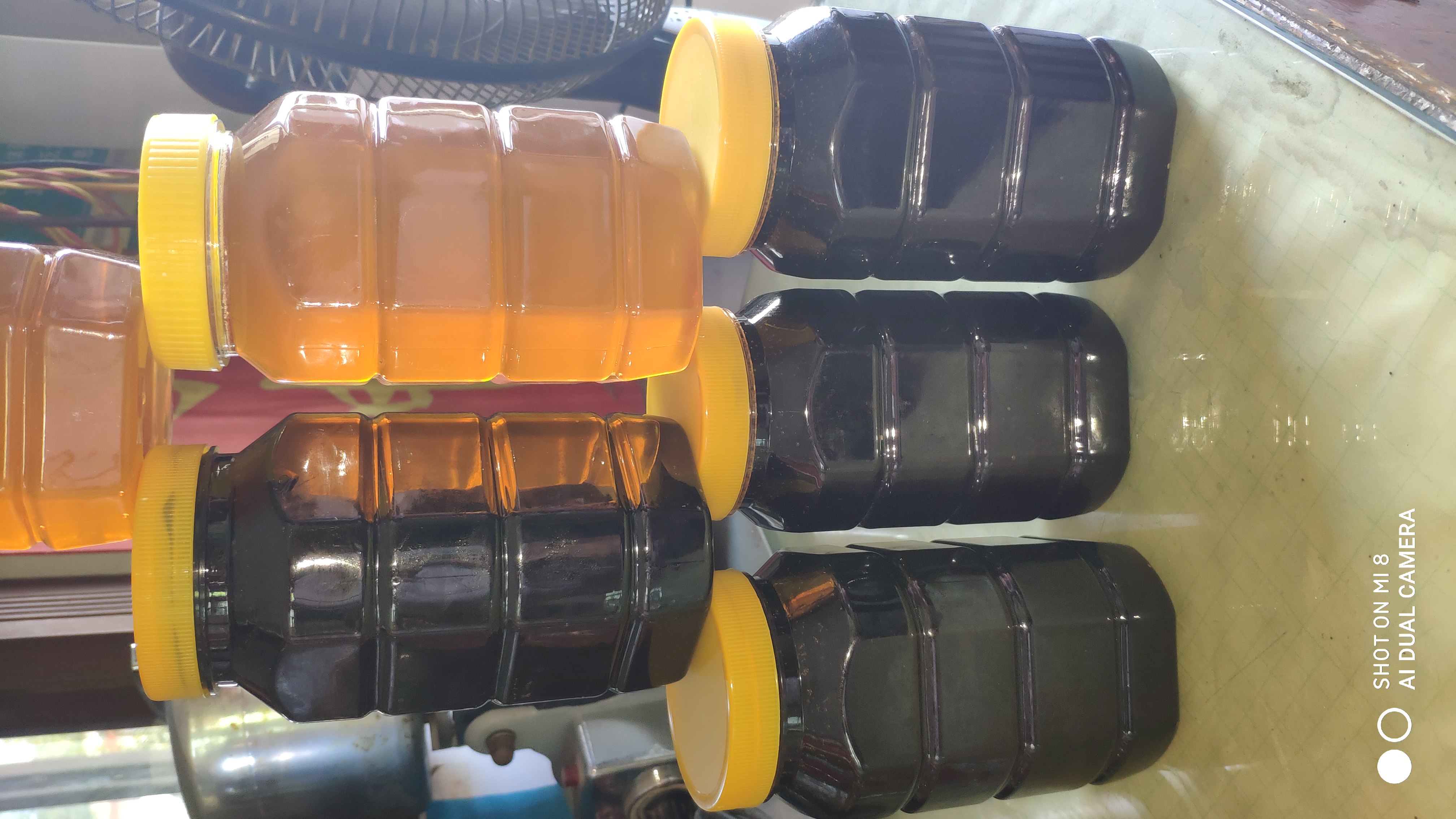 道医精诚——记全真华山派24代道医贺运生